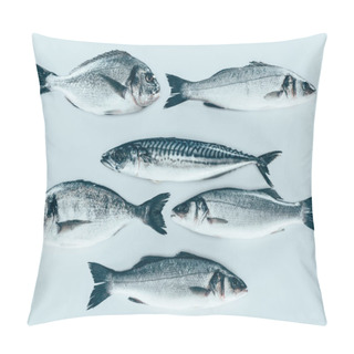 Personality  Top View Of Various Uncooked Sea Fish Isolated On Grey   Pillow Covers