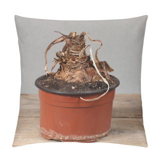 Personality  Dry Flower In Pot Pillow Covers