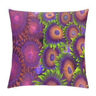 Personality  Zoanthids Pillow Covers