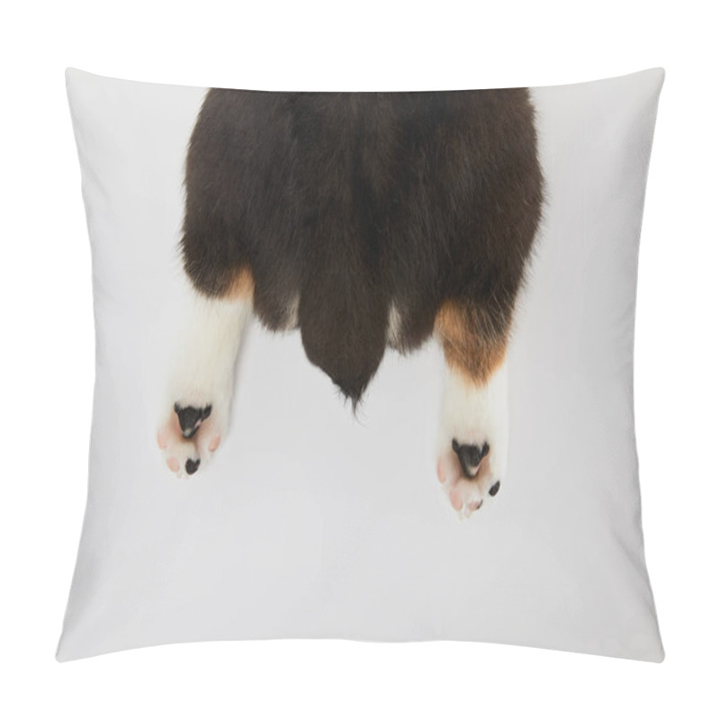 Personality  Partial View Of Cute Welsh Corgi Puppy Paws And Tail Isolated On White  Pillow Covers