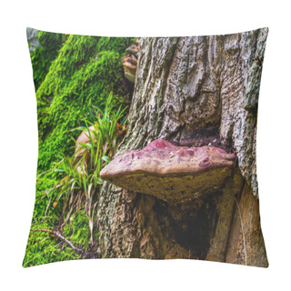 Personality  Closeup Of A Beefsteak Fungus Growing On A Tree, Common And Edible Mushroom, Fungi Specie From Europe And Britain Pillow Covers