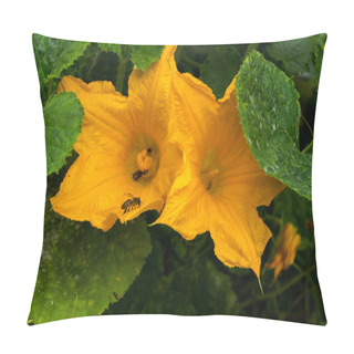 Personality  Zucchini Flowers Pillow Covers