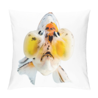 Personality  Gold Fish Front View Isolation On The White Background : Bulging Eyes Pillow Covers