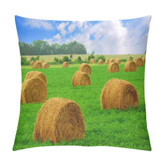 Personality  Hay Bales Pillow Covers