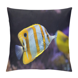 Personality  Copperband Butterflyfish (Chelmon Rostratus). Pillow Covers
