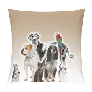 Personality  Group Of Pets Standing In Front Of White And Brown Background, Studio Shot Pillow Covers