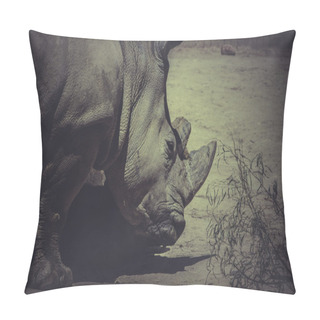 Personality  White Rhino Pillow Covers