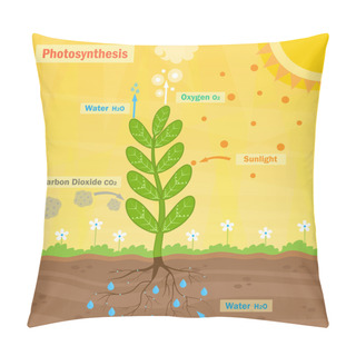 Personality  Photosynthesis Pillow Covers