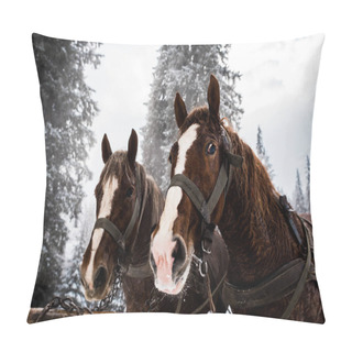 Personality  Horses With Horse Harness In Snowy Mountains With Pine Trees Pillow Covers