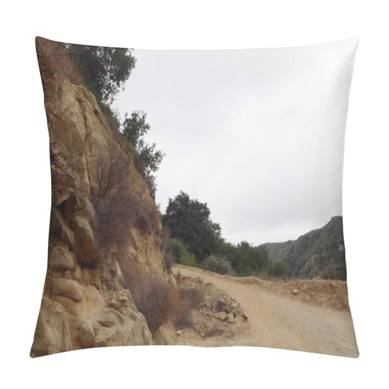Personality  Curve in Dirt road leading upwards through hills of Santa Barbara, California.                                pillow covers