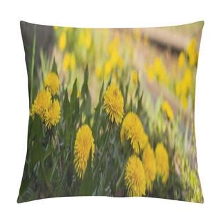 Personality  Close Up View Of Yellow Dandelions Outdoors, Banner  Pillow Covers