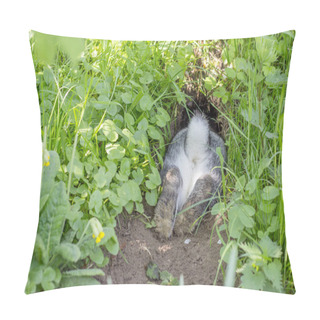 Personality  Rabbit Hole / A Gray Rabbit Hides In The Rabbit Hole Pillow Covers