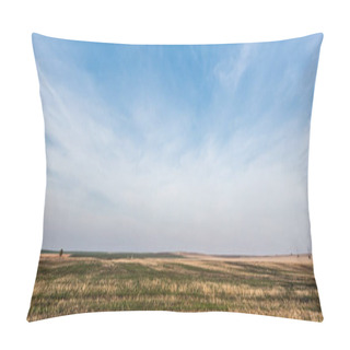 Personality  Horizontal Crop Of Grassy Lawn Against Blue Sky With Clouds Pillow Covers