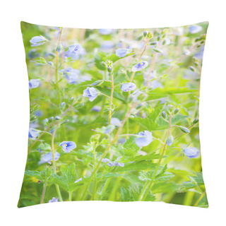 Personality  Blue Veronica Flowers, Macro, Selective Focus Pillow Covers