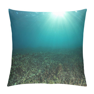 Personality  Marine Inhabitants With Underwater Scene In Deep Blue Ocean Pillow Covers