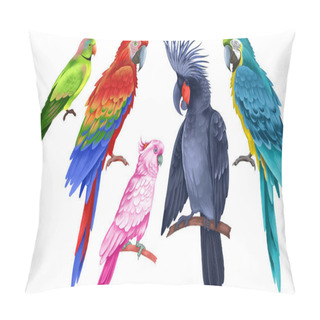 Personality  Exotic Birds Set. Multicolored Beautiful Parrots Isolated On White Background. Realistic Illustration. Wildlife Animal Image. Cockatoo, Macaw, Ara And Other Birds. Tropical Fauna. Pillow Covers