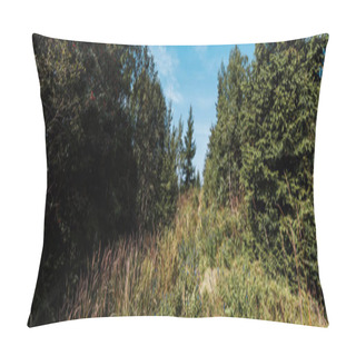 Personality  Panoramic Shot Of Evergreen Trees Against Blue Sky  Pillow Covers