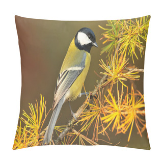 Personality  Great Tit Pillow Covers
