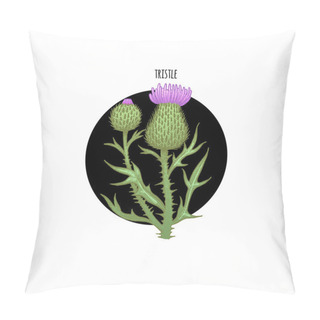 Personality  Image Of Plant Thistle Pillow Covers