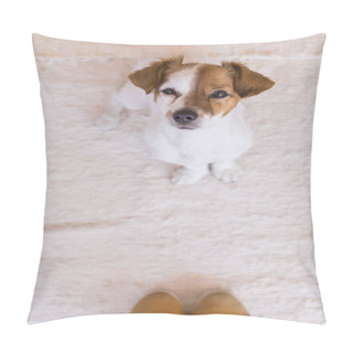 Personality  Cute Young Dog Looking At The Camera, Close To His Owners Legs T Pillow Covers
