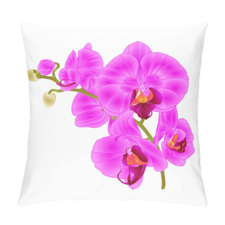 Personality  Branch Orchids Purple Flowers  Tropical Plant Phalaenopsis  On A White Background  Vintage Vector Botanical Illustration For Design Hand Draw  Pillow Covers