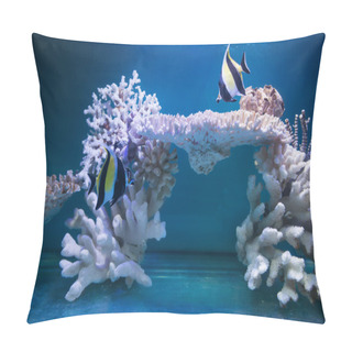 Personality  Tripical Fishes And White Coral In Aquarium Pillow Covers