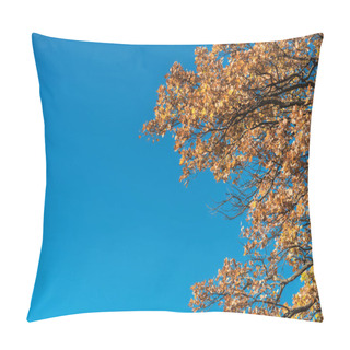 Personality  Low Angle View Of Yellow Autumnal Leaves On Trees Against Blue Sky Pillow Covers