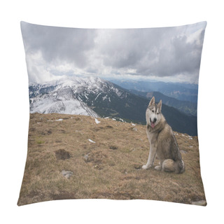 Personality  Husky Dog Pillow Covers