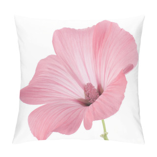 Personality  Mallow Pillow Covers
