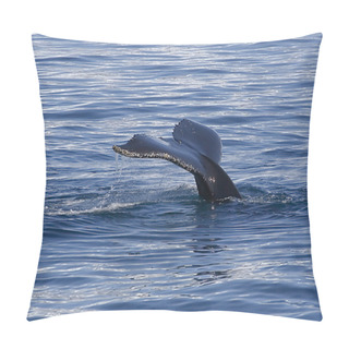 Personality  Tail Of Humpback Pillow Covers