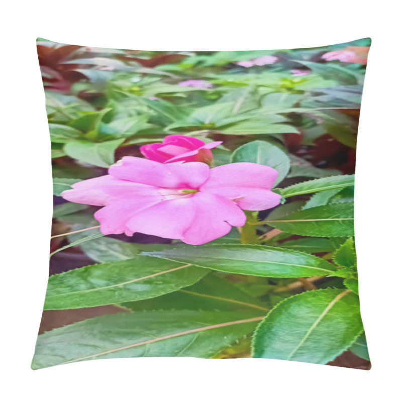 Personality  Beautiful Pink Impatiens flowers blooming in the Garden  pillow covers