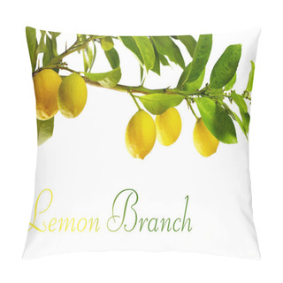 Personality  Branch With Fresh Ripe Lemon Fruits, Isolated On White Pillow Covers