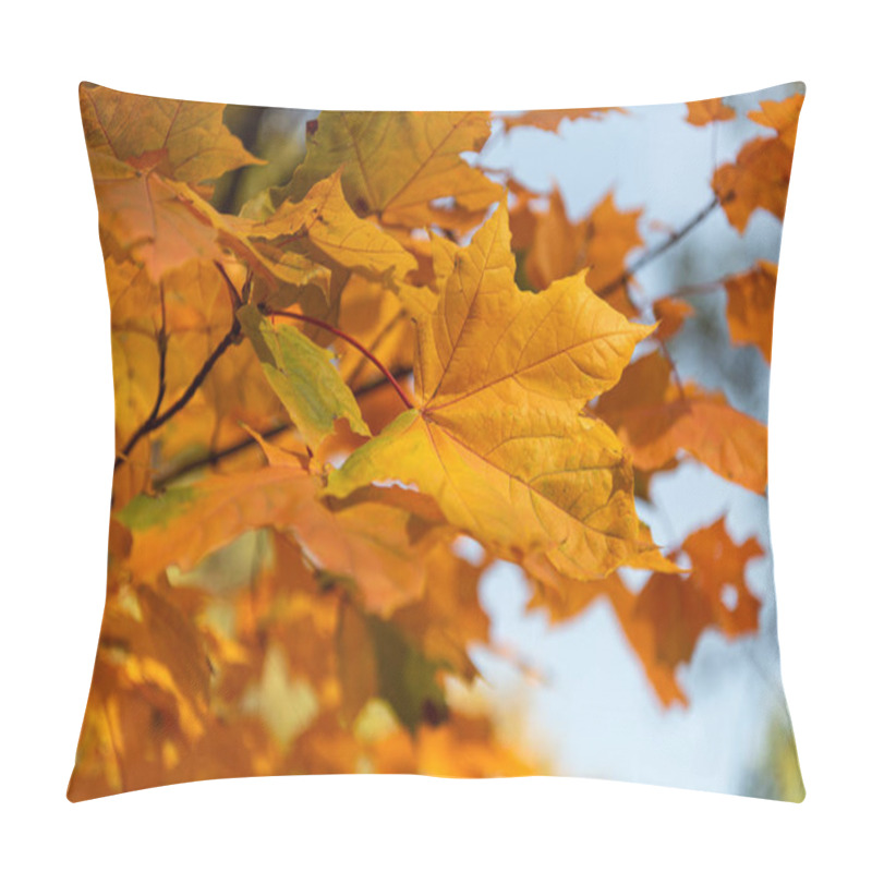 Personality  close up view of orange maple leaves on branch pillow covers