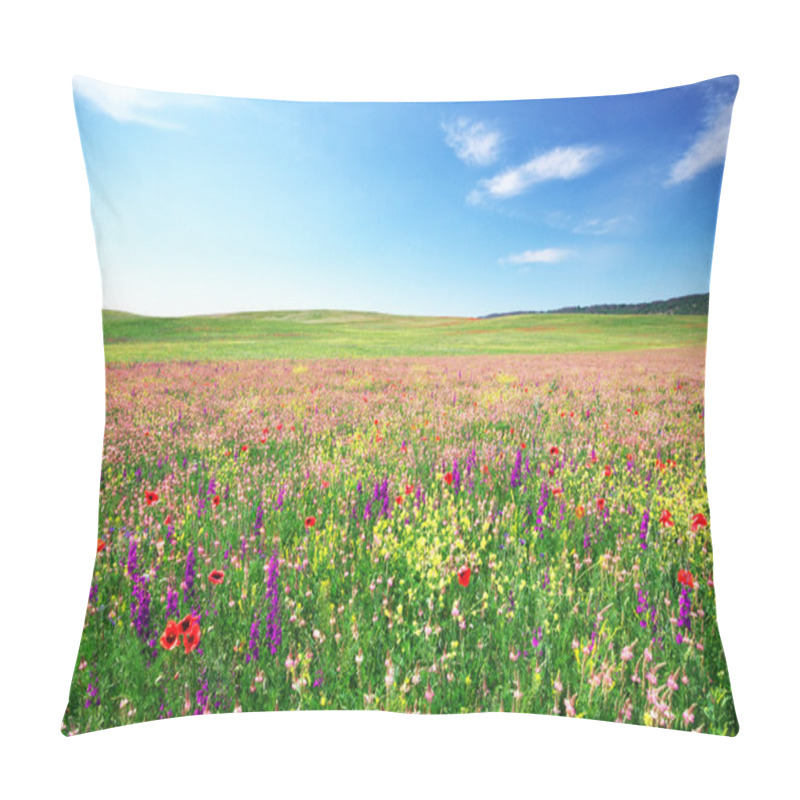 Personality  Spring flower meadow pillow covers
