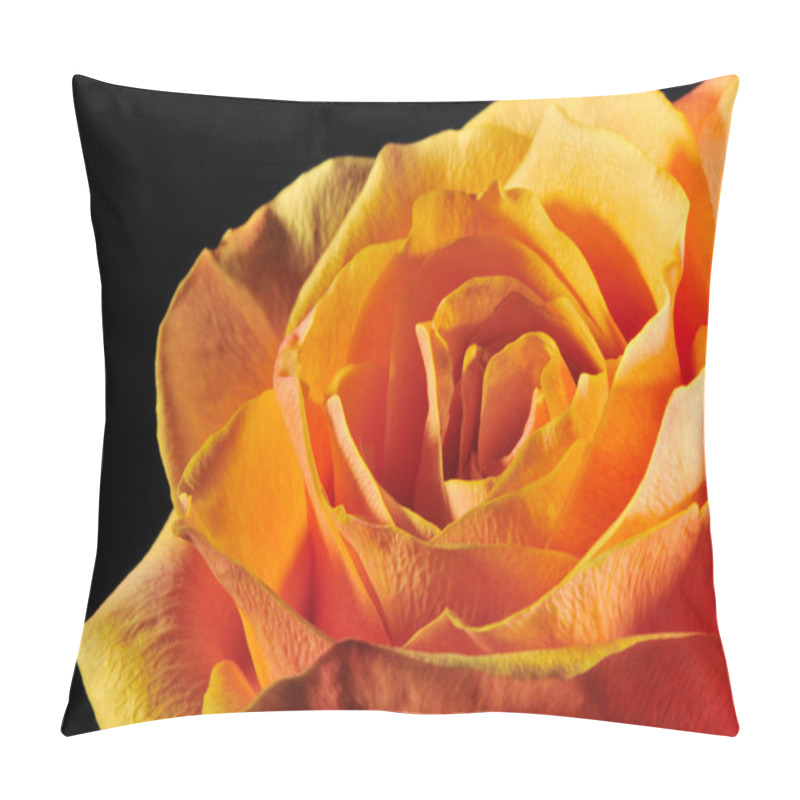 Personality  Rose on a black background pillow covers