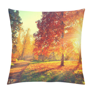 Personality  Trees  In Sun Light Pillow Covers