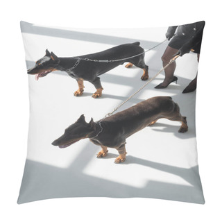 Personality  Cropped View Of Woman With Two Dobermans On Chain Leashes On White Floor With Shadows Pillow Covers