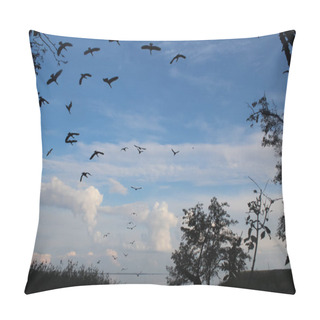 Personality  A Flock Of Black Cormorants Flies Over The Curonian Lagoon, Lithuania. Silhouette Of Dark Birds On Sky Background Pillow Covers