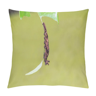 Personality  Blue Begum Caterpillar Pillow Covers