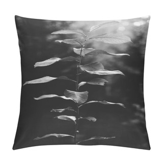 Personality  Black And White Flowers And Plants In Forest Pillow Covers