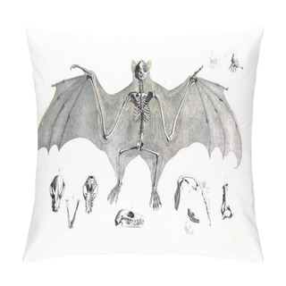 Personality  The Skeleton Of The Animal Pillow Covers