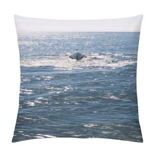 Personality  The Majestic Sight Of A Whale Breaching Represents Nature's Grandeur. This Stunning Image Captures The Powerful Moment As The Whale Rises From The Sparkling Waters, Offering A Glimpse Into The Wondrous World Of Marine Life. Pillow Covers