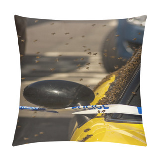 Personality  Bees Swarm Onto A Car Pillow Covers