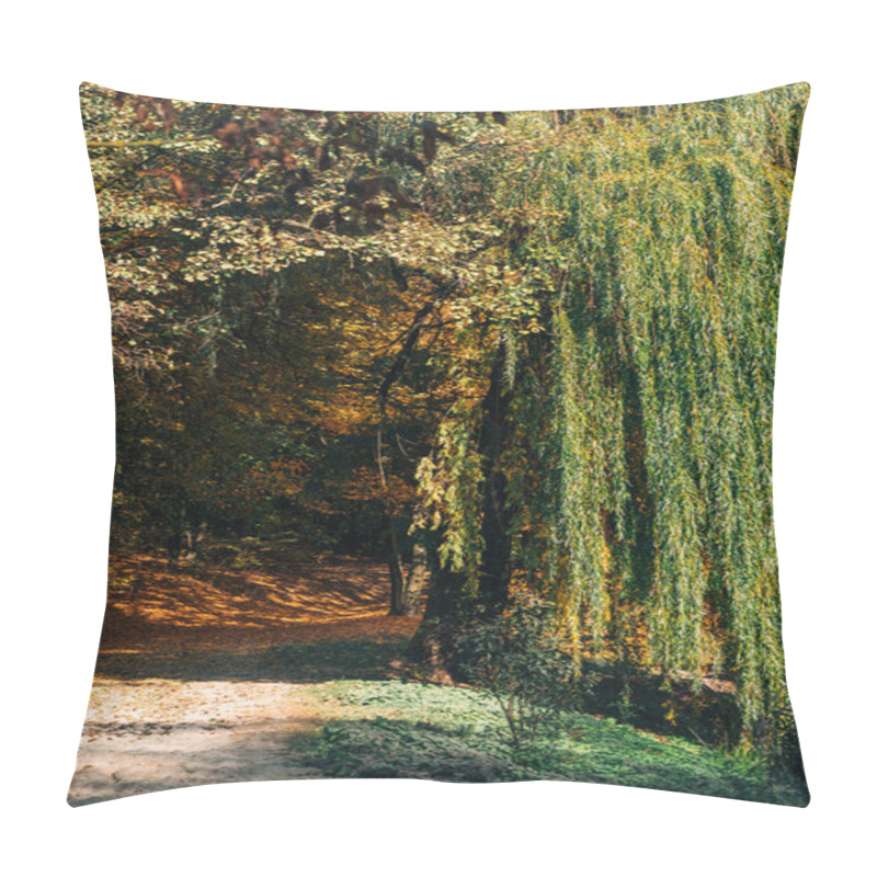 Personality  Pathway With Sunlight Near Weeping Willow Tree In Forest Pillow Covers