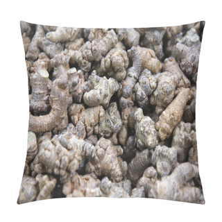 Personality  Pseudoginseng Pillow Covers