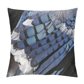 Personality  Blue Jay Feathers Pillow Covers