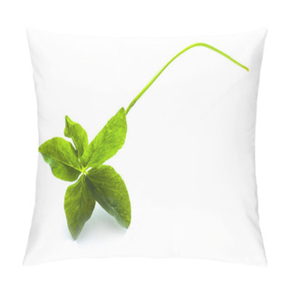 Personality   Five Leaves Clover Pillow Covers