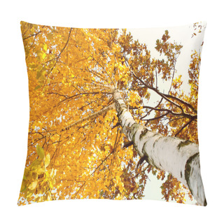 Personality  A Birch Tree In Autumn Season. Lateral View Pillow Covers