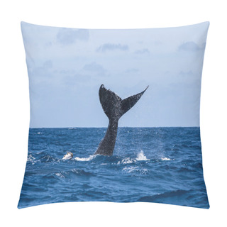 Personality  Humpback Whale Raising Tail Pillow Covers