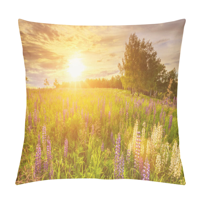 Personality  Sunset or sunrise on a hill covered with lupines in summer or early spring season with cloudy sky background. Landscape. pillow covers